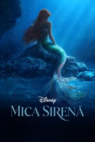 MICA SIRENA