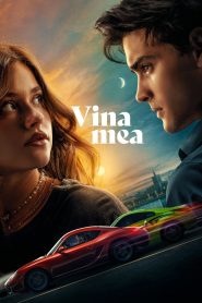 My Fault / Vina mea (2023)