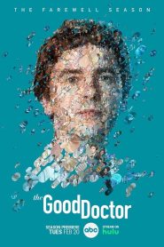 The Good Doctor/ Doctorul cel bun (2017)