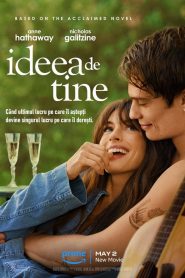 THE IDEA OF YOU (2024)