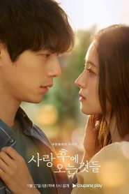 What Comes After Love / Dincolo de iubire (2024)